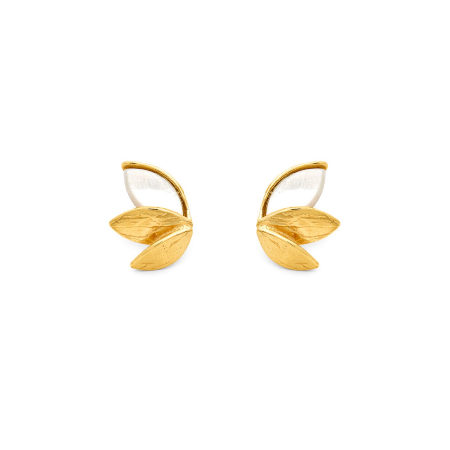 Raspini - Orecchini Skin Madreperla Piccoli Argento